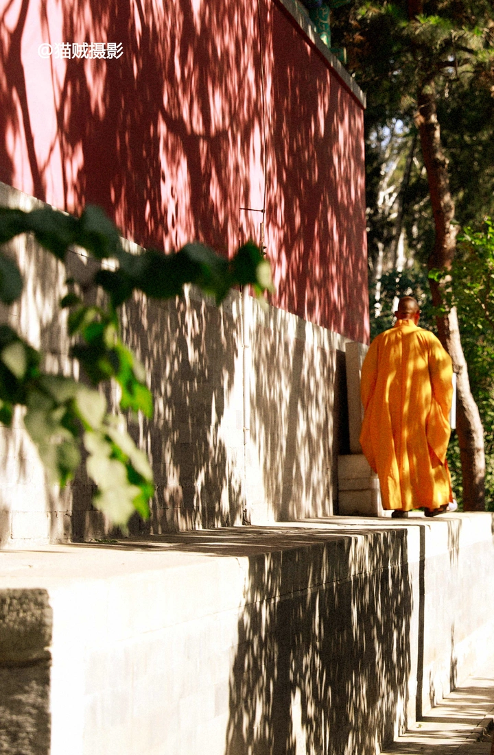端午· 法源寺·喵星人