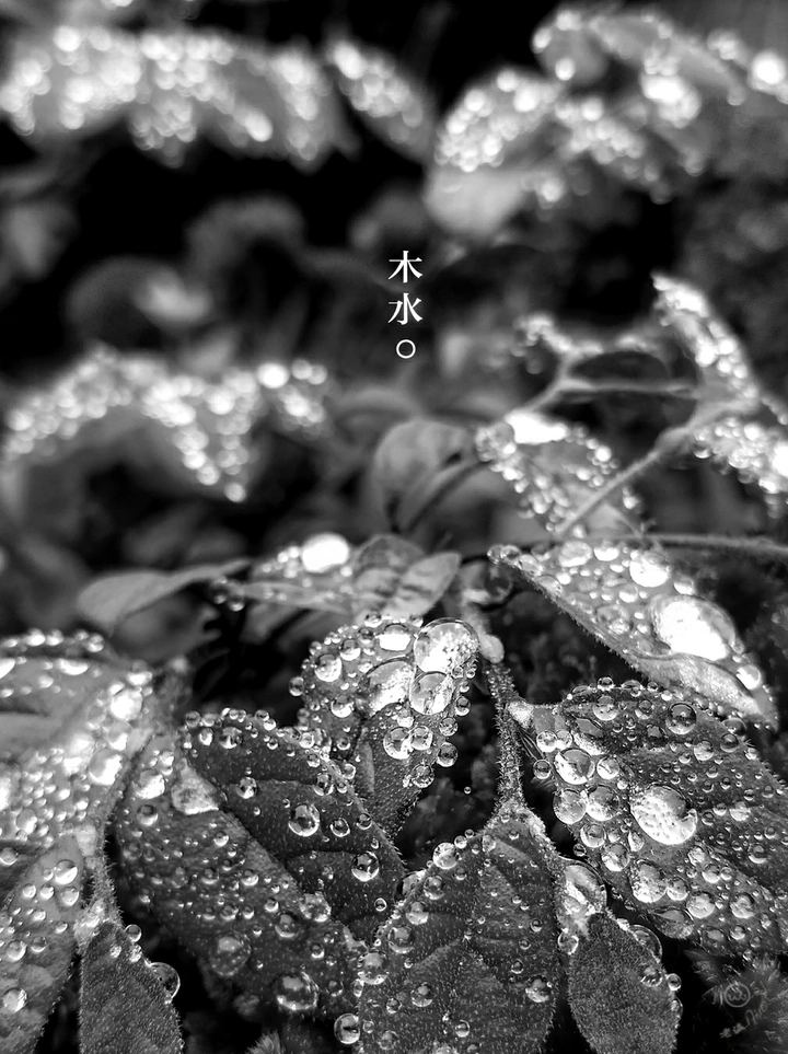『木水』