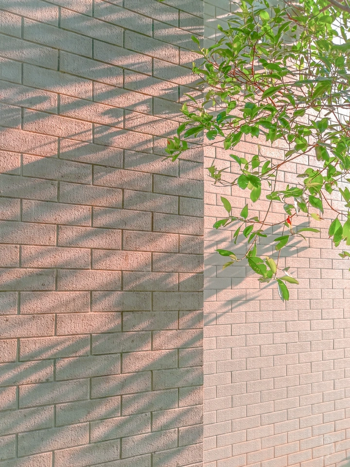 『阳光』