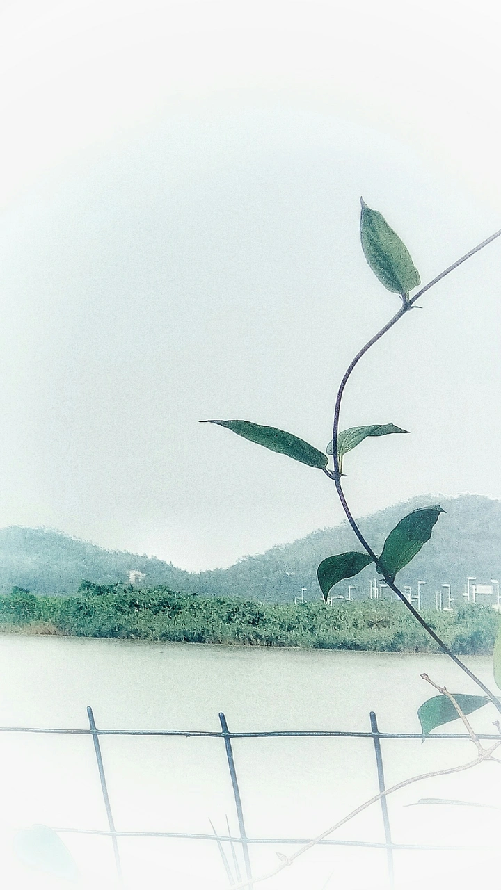 诗与远方