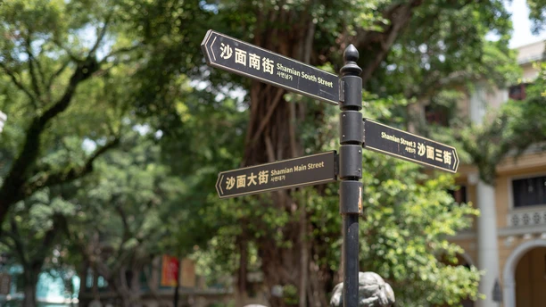 杆上的街道标志 背景中有树木