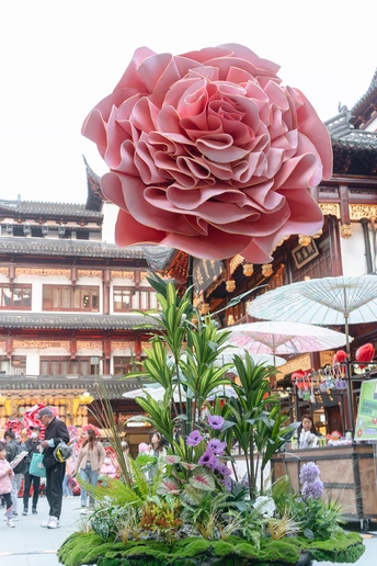 一个大花园 里面有粉色花朵。