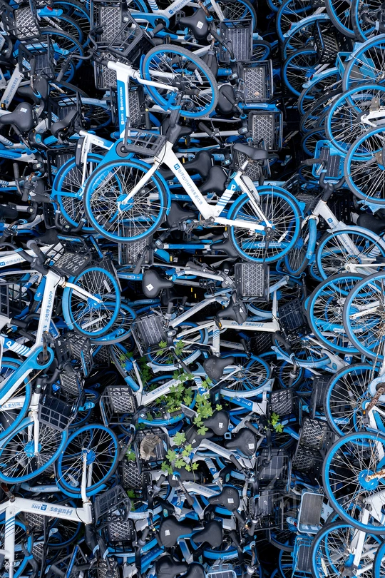 一堆多种颜色的自行车和植物