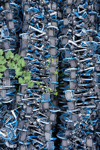 自行车和植物制成的墙