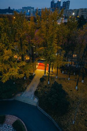 傍晚时分的公园 aerial view 树木和灯光