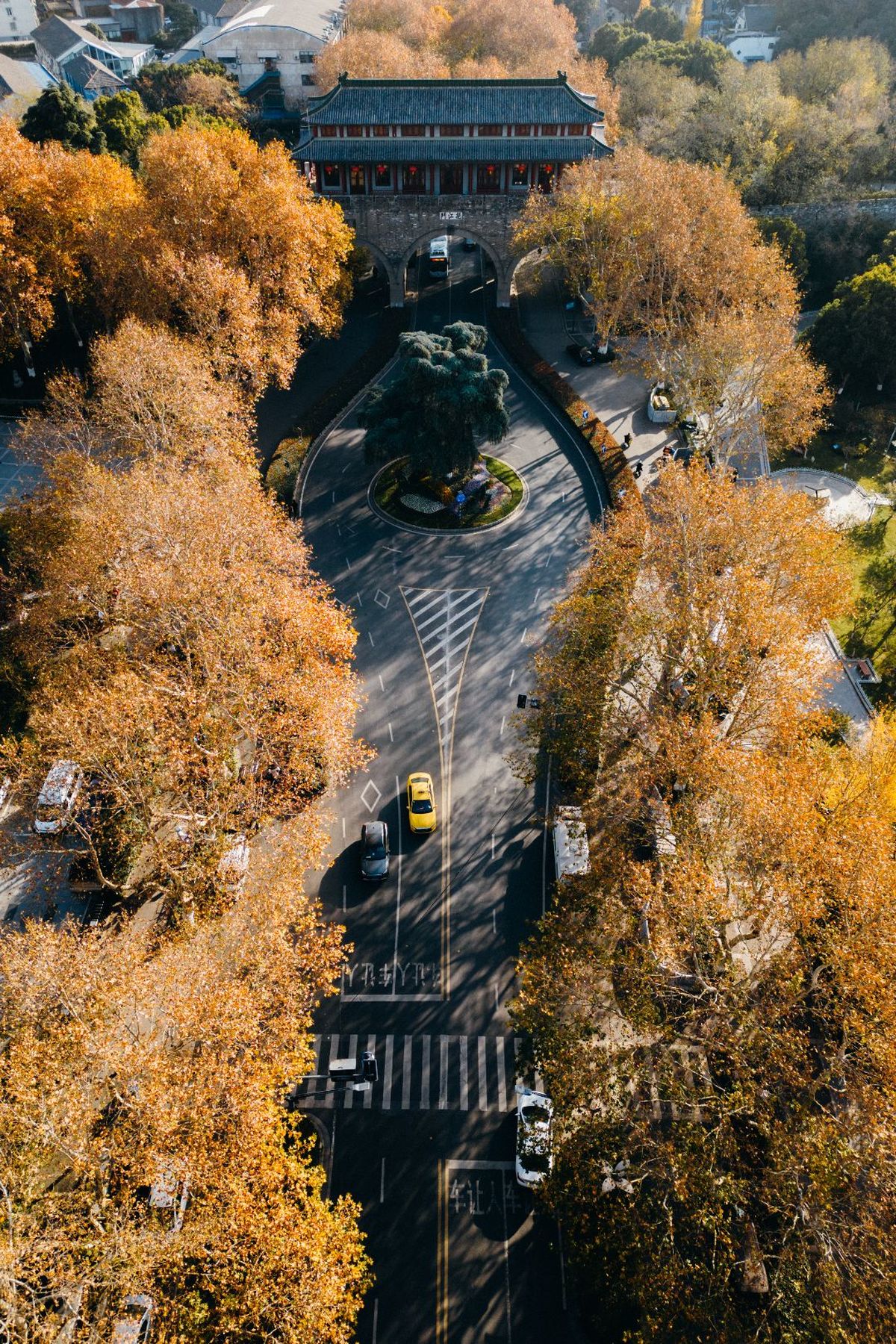 秋天的城市街道 aerial view