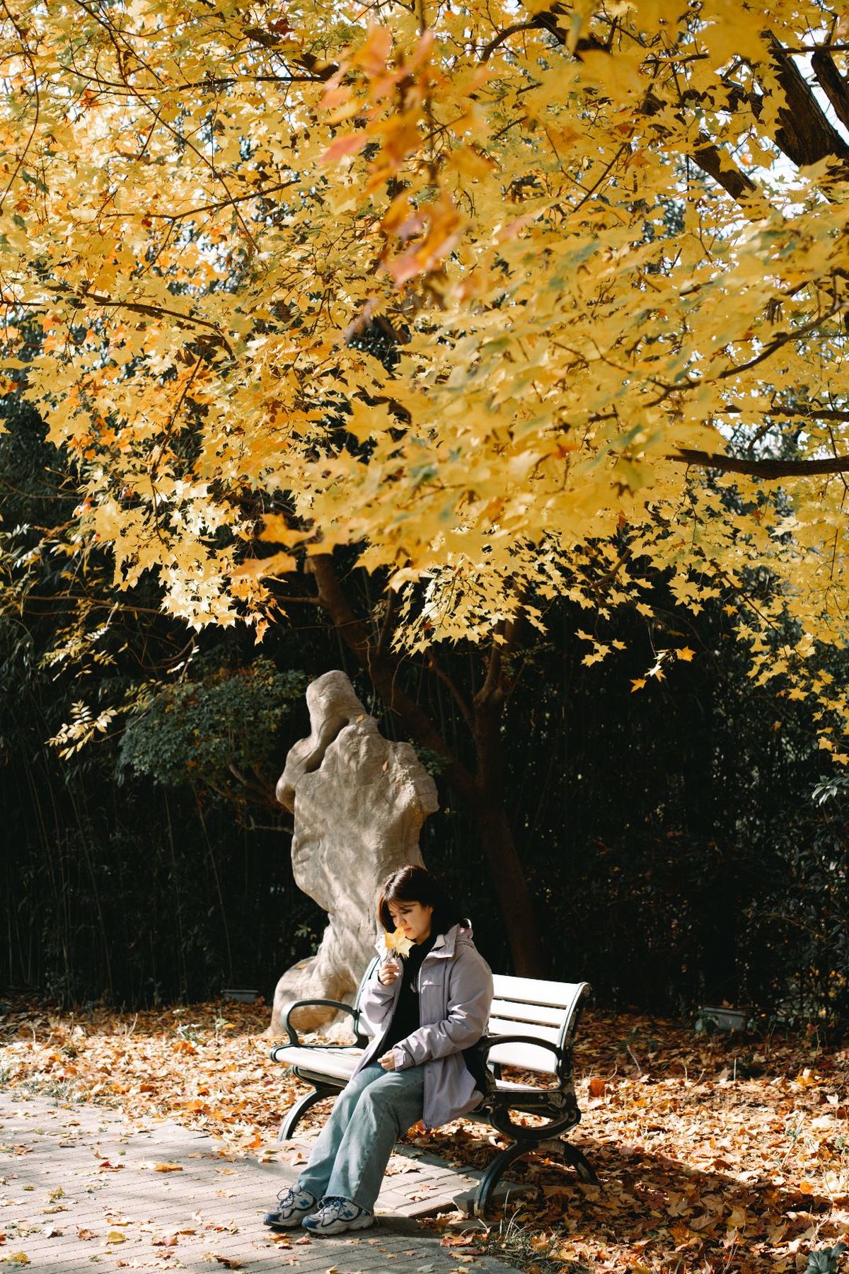 公园里 一个年轻男子和一个年轻女子坐在长凳上。