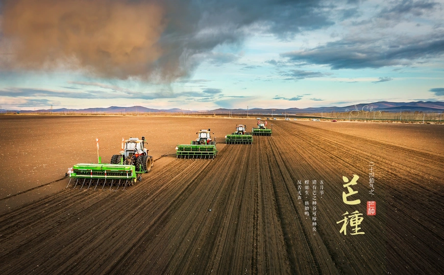 农民们正在田里干活