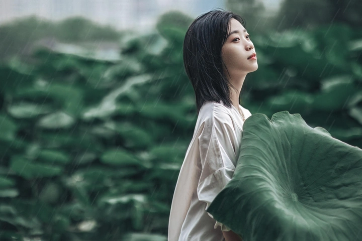荷风细雨
