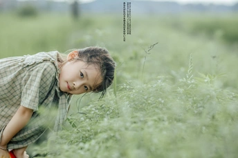 一个小女孩在田野里的高草中采摘