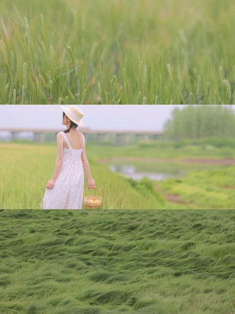 一个穿着白色连衣裙和帽子 手拿篮子穿过一片绿色草地的年轻女子。