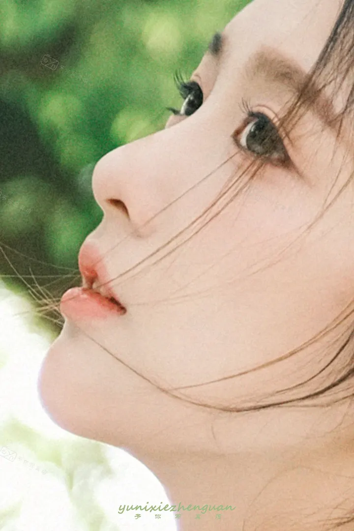 在盛夏