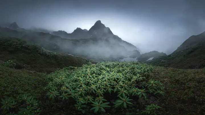 南极洛秘境
