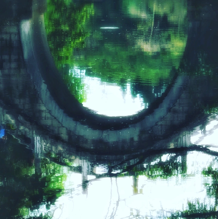 池中影