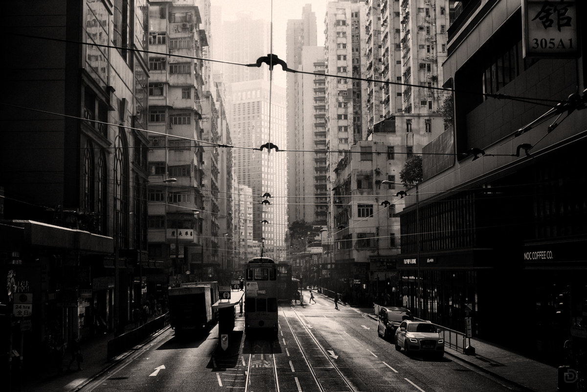一张黑白照片 展示了城市街道、汽车、公共汽车和鸟。