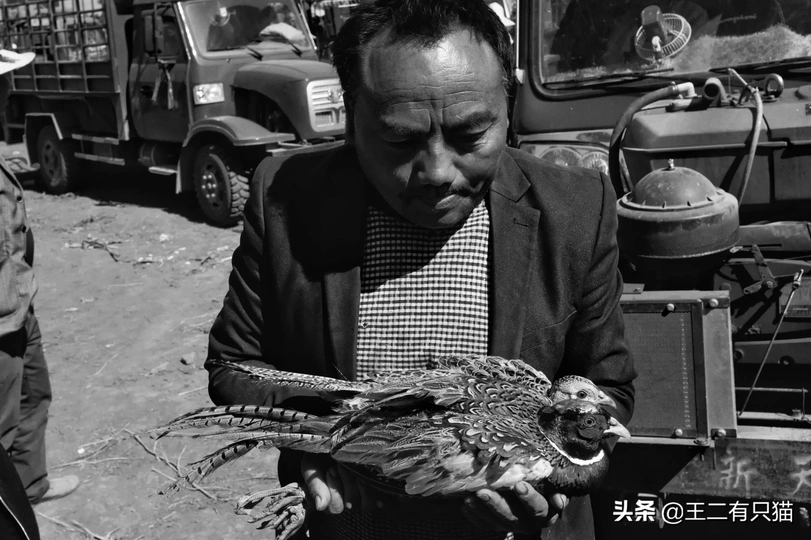 一个男人手里拿着一只死鸟