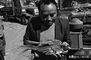 一个男人手里拿着一只死鸟