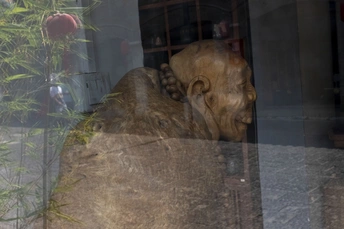 狮子雕像的岩石反射