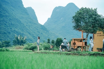 一些人在绿油油的草地上站着