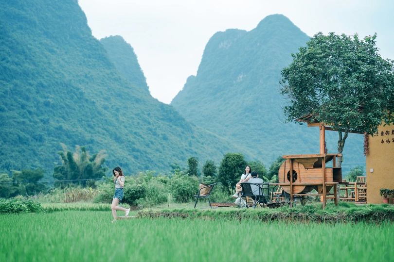 一些人在绿油油的草地上走