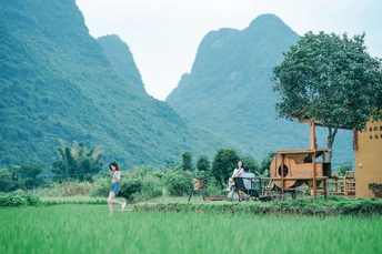一些人在绿油油的草地上走