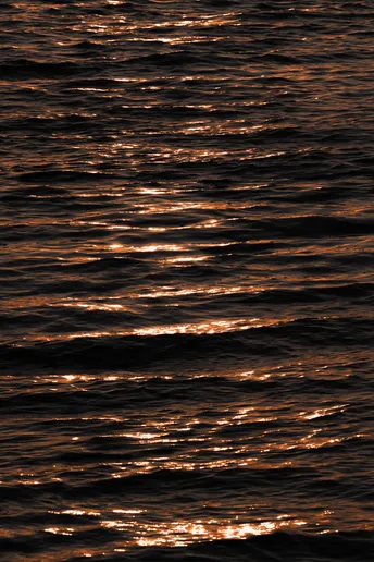 夕阳洒在水面上的金色光辉 太阳的光芒反射在波浪上。