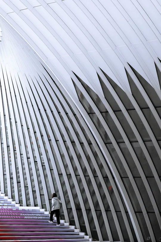 一个人和一个女人正在走上一个大型建筑的台阶。