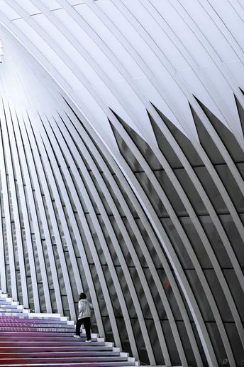 一个人和一个女人正在走上一个大型建筑的台阶。