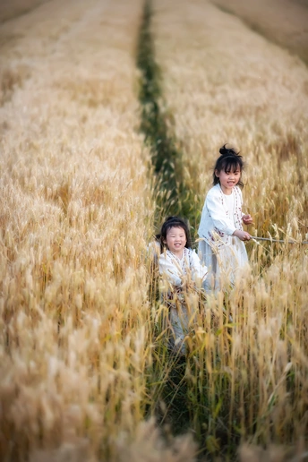 孩子们在麦田里玩耍 小女孩穿过麦田。