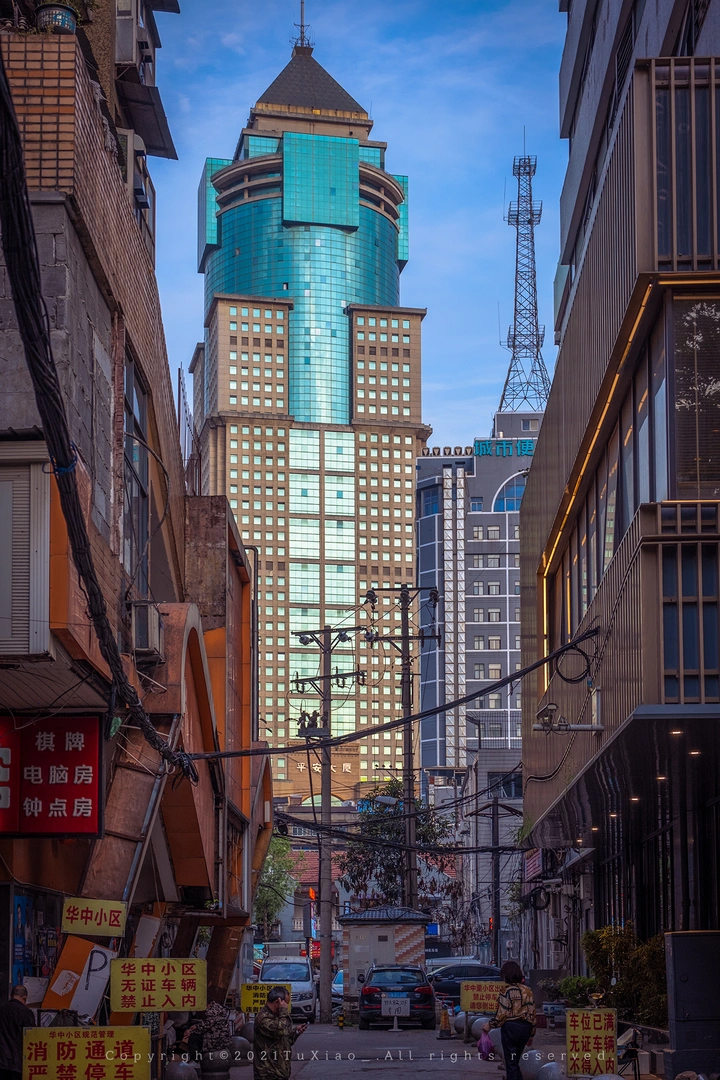 佳丽
