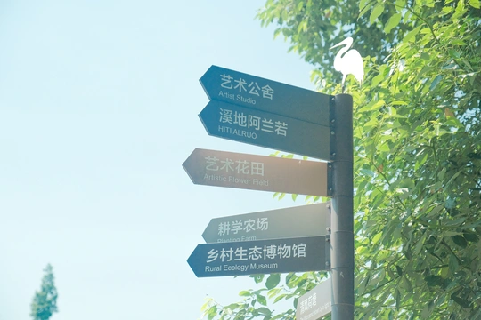 几块街牌在树附近的一根杆子上