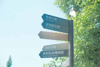 几块街牌在树附近的一根杆子上