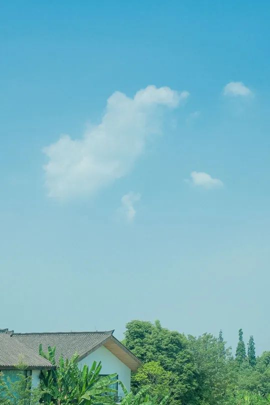 一个小屋在田地背景中有树