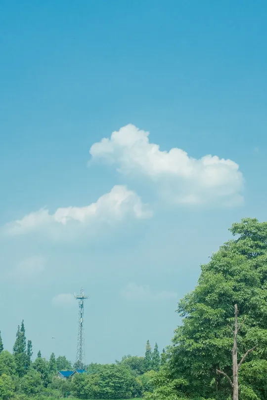 一片绿草地 有树木、水和人们在马背上放牧。