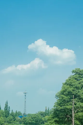 一片绿草地 有树木、水和人们在马背上放牧。