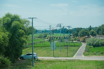 路边停着一辆蓝色的车 旁边是田地