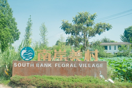 路边的标志