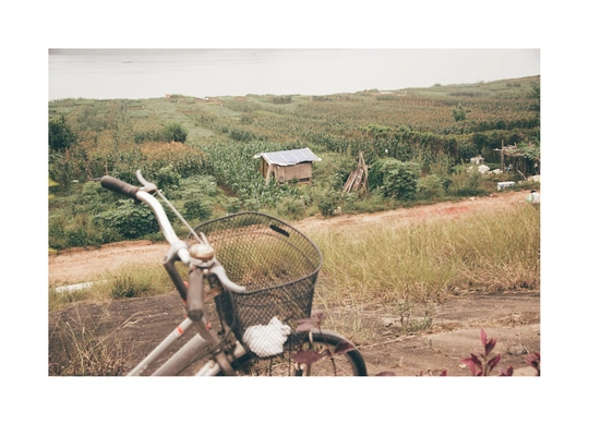 背景中有一所房子 一辆自行车和一个篮子停在田地里