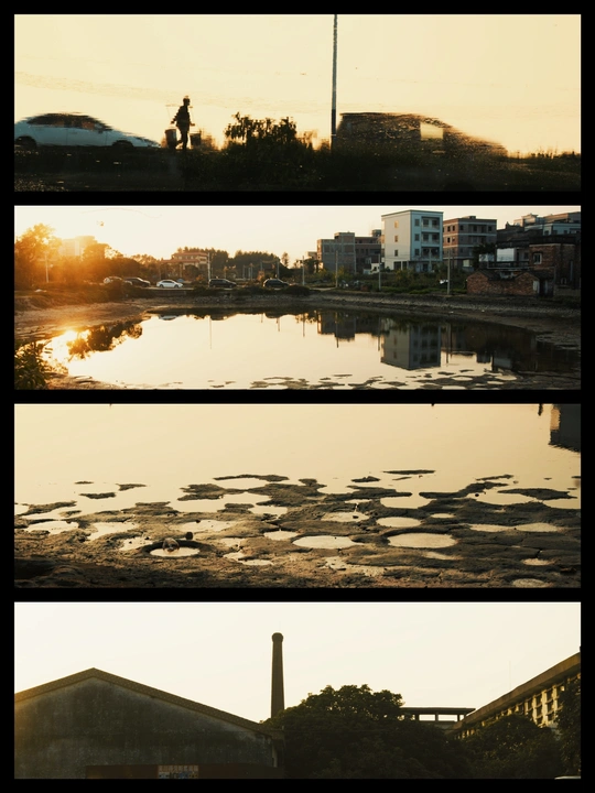 夕阳下的水域 前景有人骑车 背景有建筑。