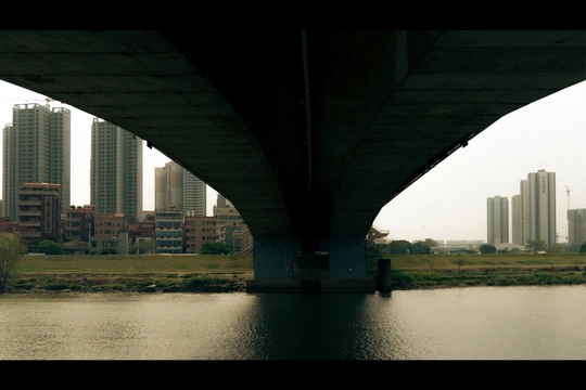 桥下广阔的水域 背景是城市天际线