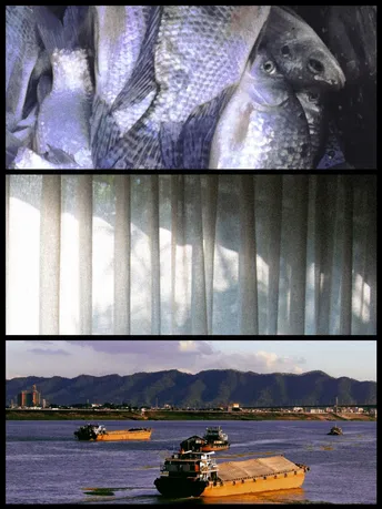 几张黄色船只在广阔的水域中的图片