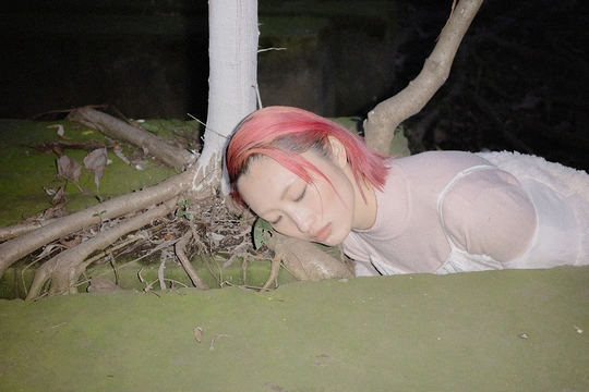 拍拍