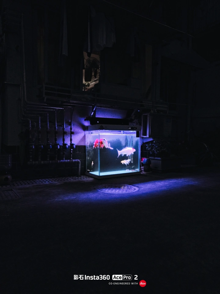 微小而确切的在场