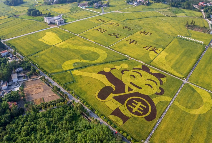 相约新都