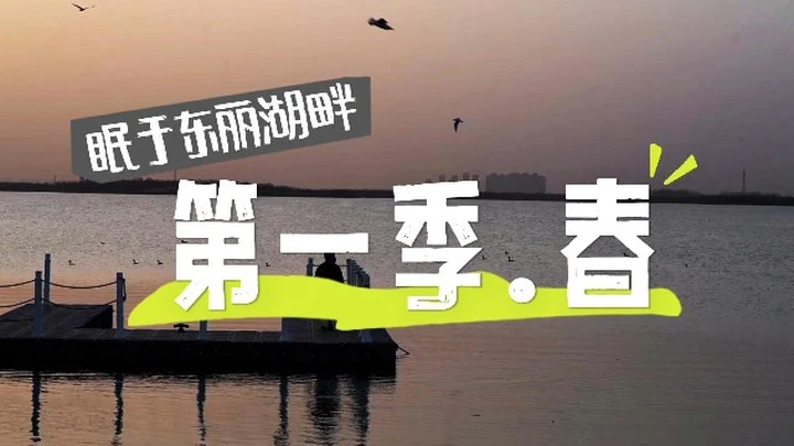 眠于东丽湖畔——第一季：春