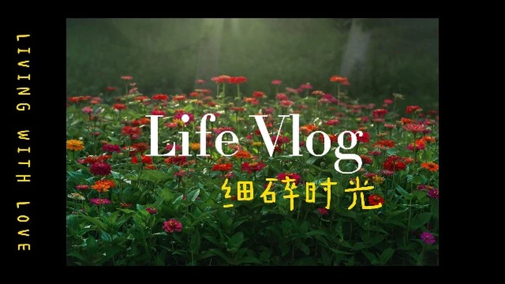 细碎时光Life Vlog——拍拍物业种的不知名小花