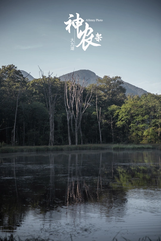 一个有树的池塘 背景是一座山