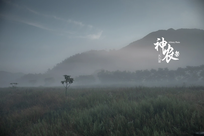 一个雾蒙蒙的早晨 远处有树和山