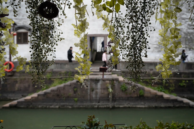 一个有植物垂吊的池塘 背景是一座有人的建筑 人们走在池塘边 坐在水边的长椅上。