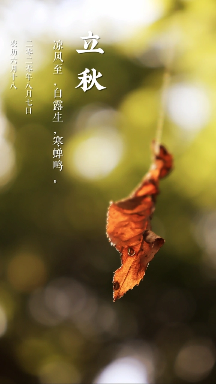 “立秋”